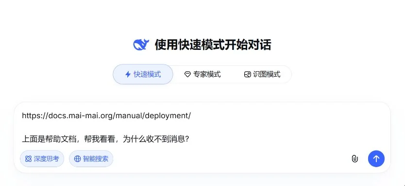 询问 DeepSeek